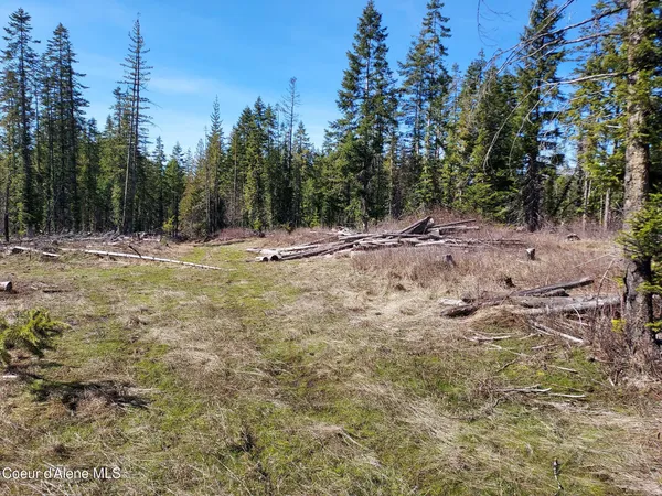 $140,000 | 574 Dorning Drive, St. Maries, ID 83861