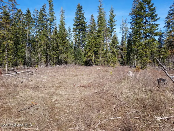 $140,000 | 574 Dorning Drive, St. Maries, ID 83861