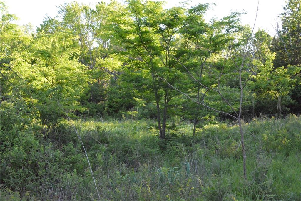 1673 17th Road Northeast Burlington, KS 66839 - Photo 15 of 24