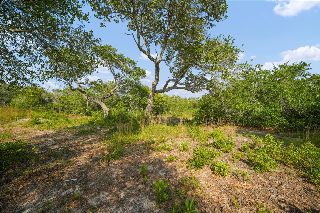 1508 Rhodes Avenue Aransas Pass, TX 78336 - Photo 27 of 30