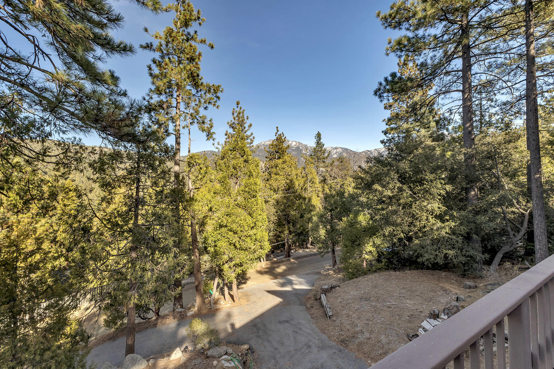 53071 Middleridge Drive Idyllwild, CA 92549 - Photo 31 of 50 a view of a yard with plants and a bench