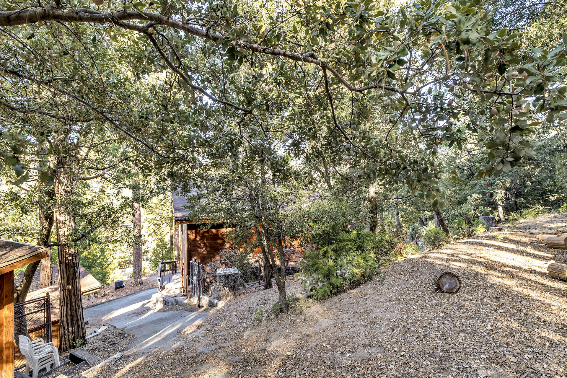 53071 Middleridge Drive Idyllwild, CA 92549 - Photo 43 of 50 a view of outdoor space and yard