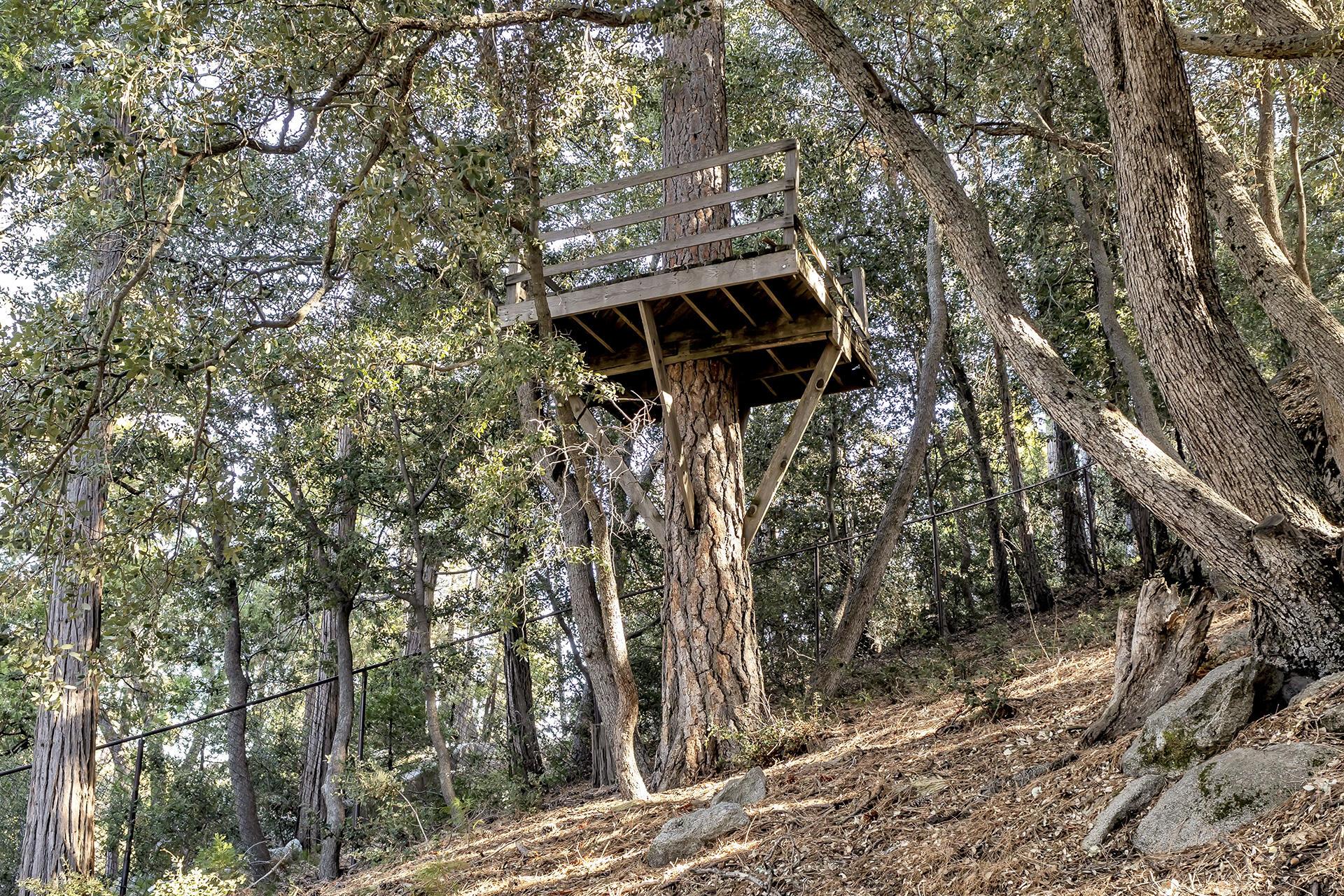 53071 Middleridge Drive Idyllwild, CA 92549 - Photo 44 of 50 a view of a backyard