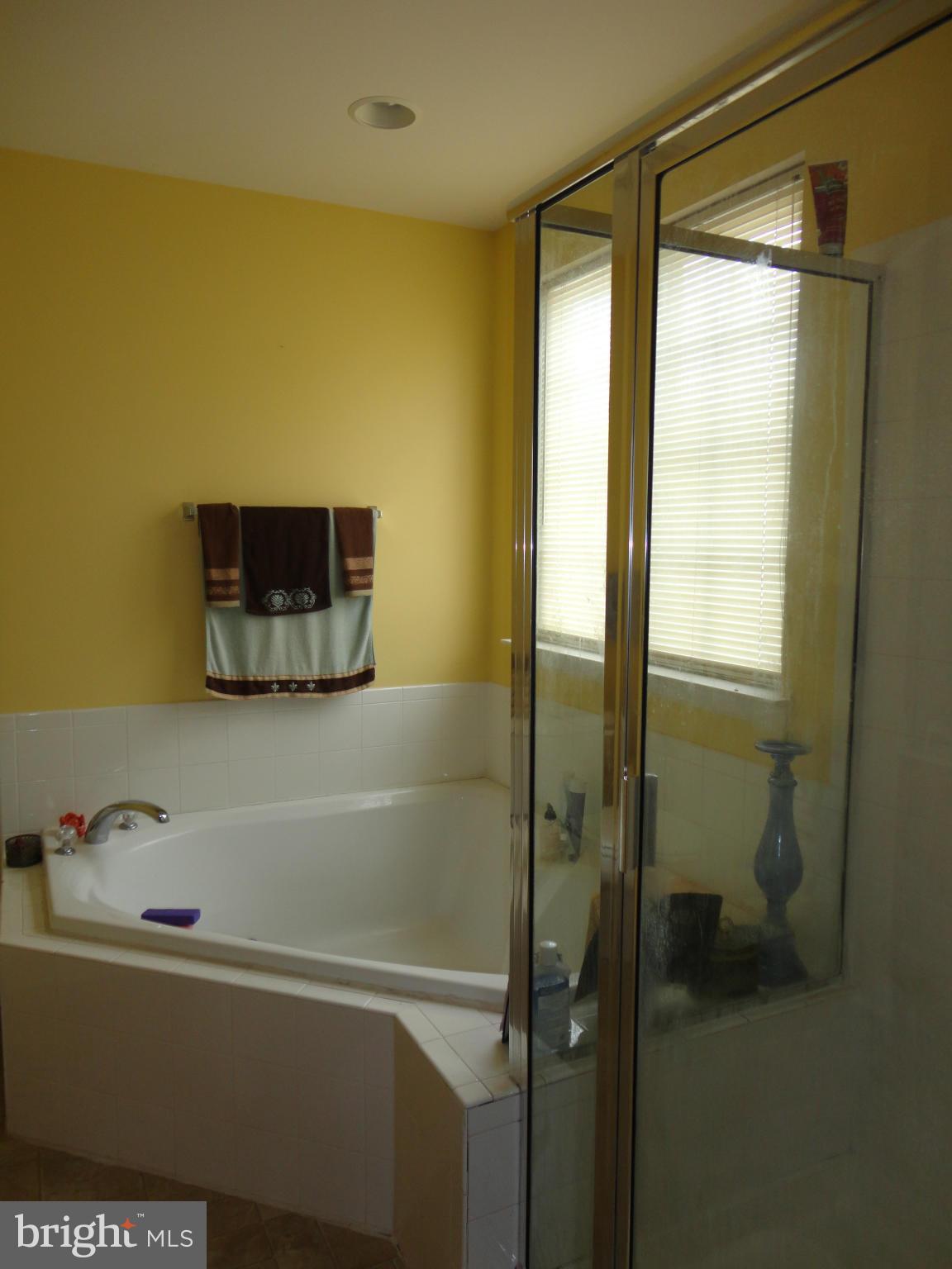 75 Mineral Springs Road Ranson, WV 25438 - Photo 17 of 30 Master Bath Shower/Tub