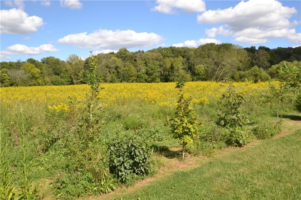 8100 South Mill Road Knightstown, IN 46148 - Photo 21 of 21