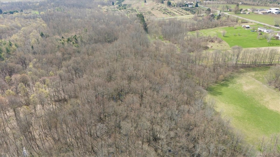 3633 Warner Road Marion, NY 14505 - Photo 12 of 26