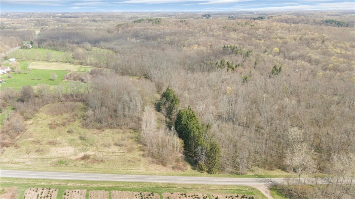 3633 Warner Road Marion, NY 14505 - Photo 4 of 26