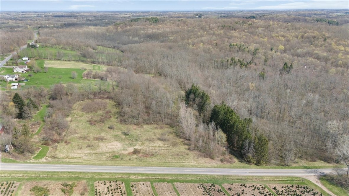 3633 Warner Road Marion, NY 14505 - Photo 10 of 26