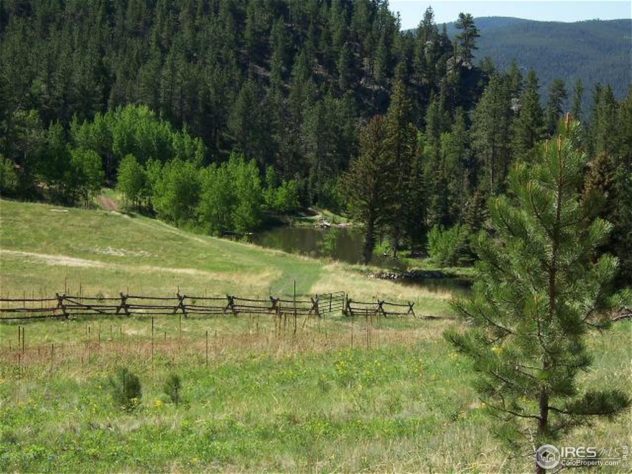 1096 Stove Prairie Road Bellvue, CO 80512 - Photo 3 of 4 Gallery Image 3