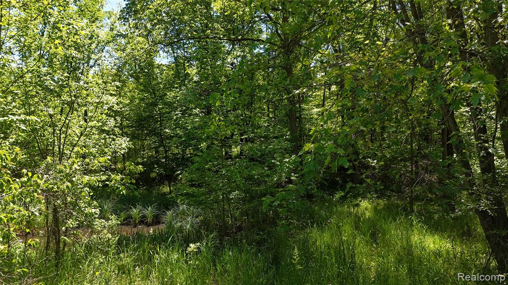 0 Williams Road Gaines, MI 48436 - Photo 27 of 28