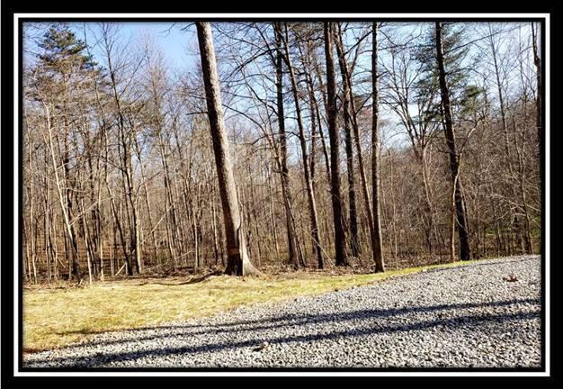 0 Harrison Road, Unit TRACT 2 Jackson, OH 45640 - Photo 13 of 50 image013