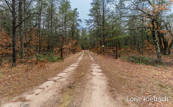 $155,900 | 3710 Highway 10, Chase, MI 49623