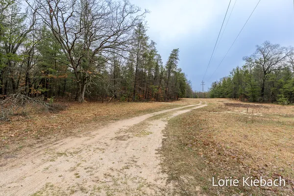 $155,900 | 3710 Highway 10, Chase, MI 49623