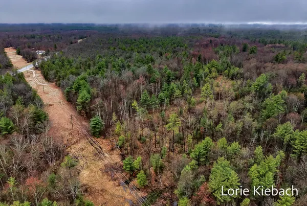 $155,900 | 3710 Highway 10, Chase, MI 49623
