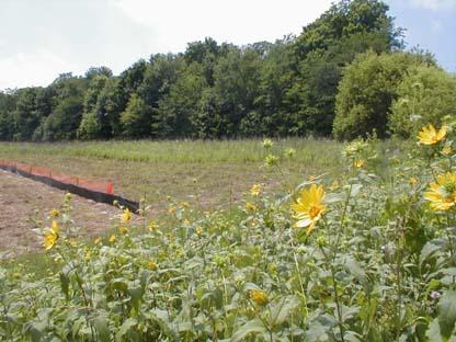 Lt4 Preserve Way Colgate, WI 53017 - Photo 1 of 1 Copied Photo