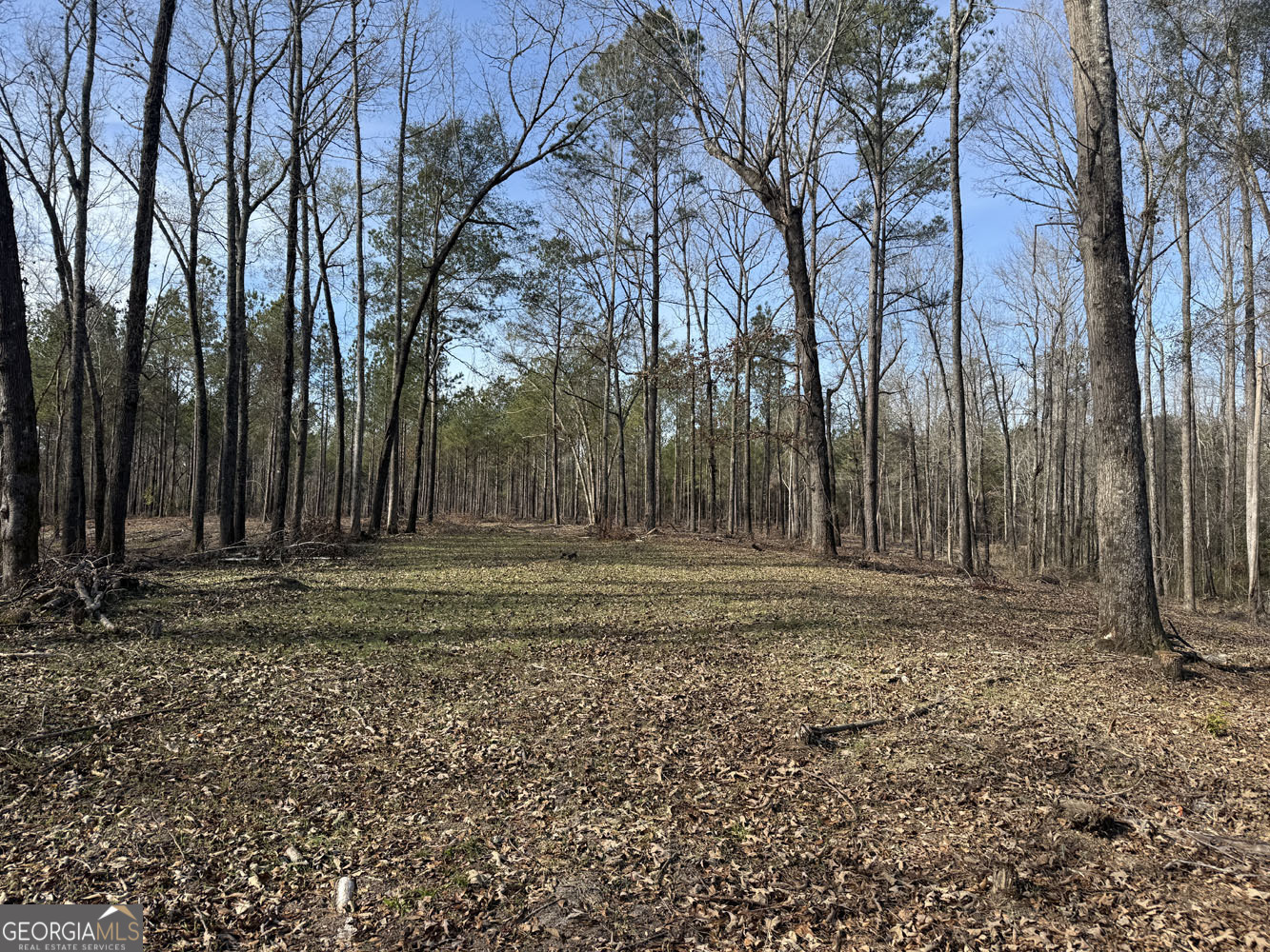Truslow South Durham Mill Road Jeffersonville, GA 31044 - Photo 12 of 49 a view of dirt yard with large trees