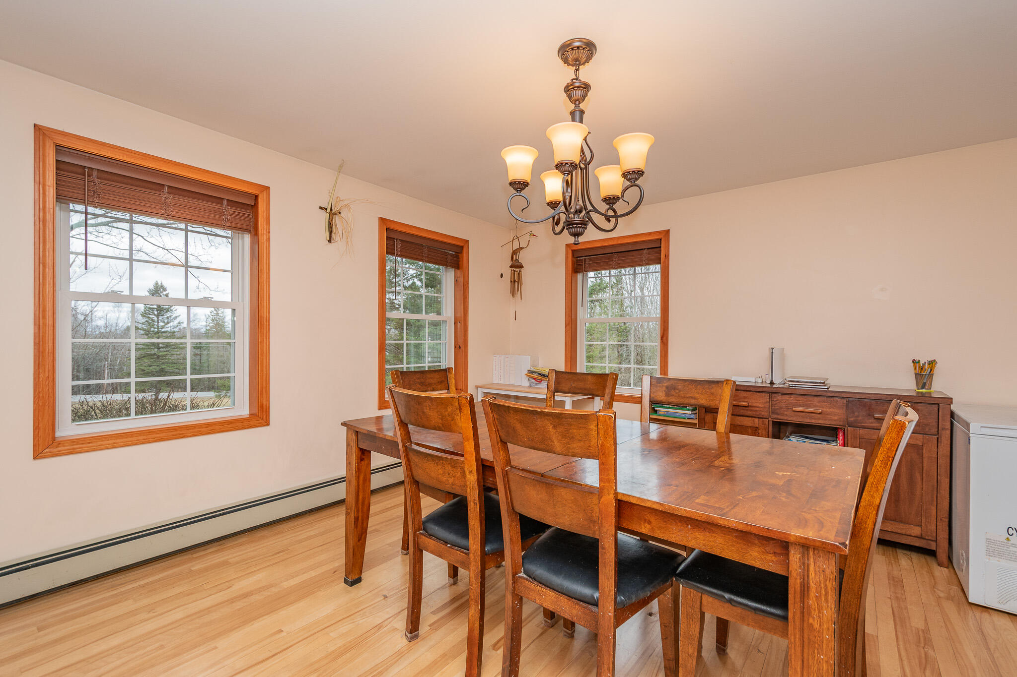 317 Milo Road Sebec, ME 04481 - Photo 17 of 78 DSC_0319
