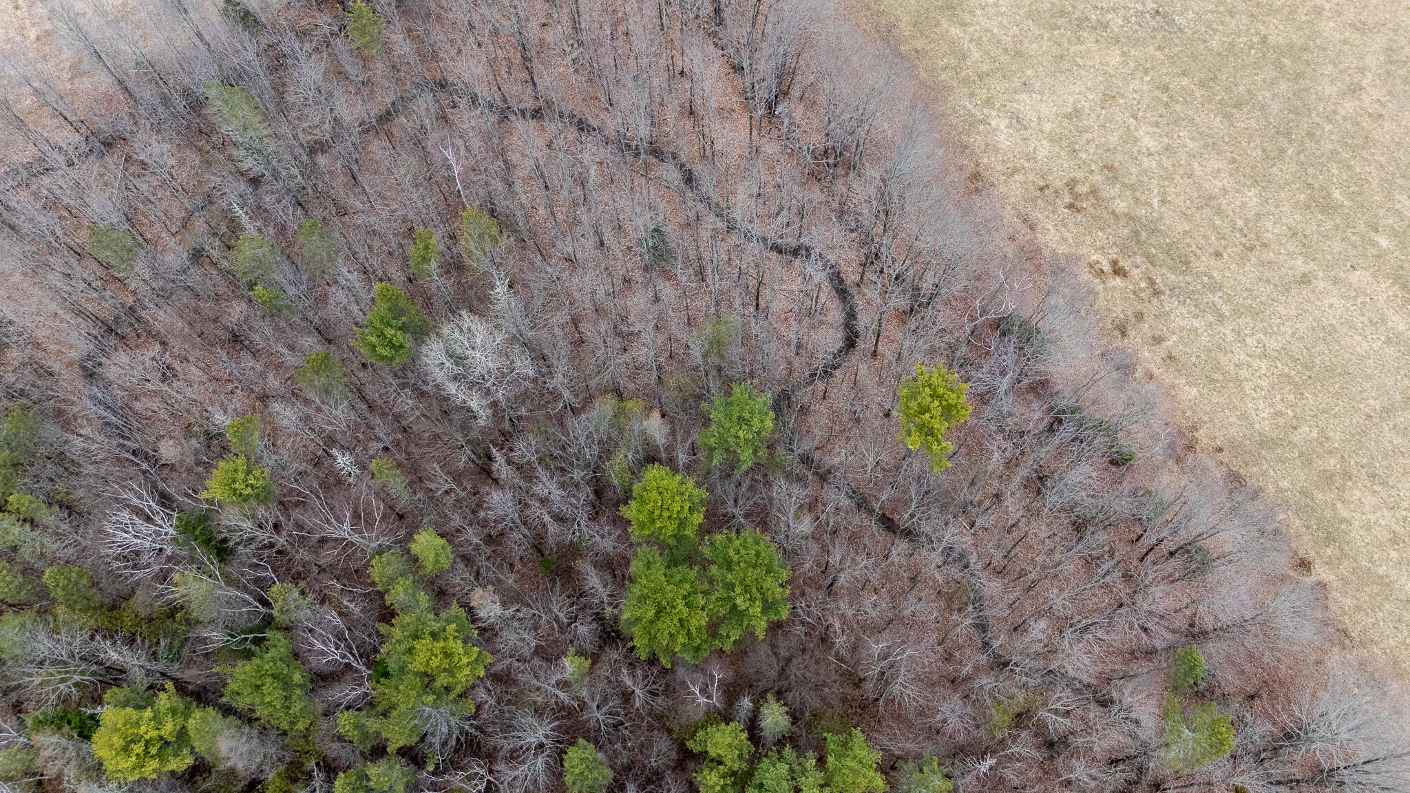 317 Milo Road Sebec, ME 04481 - Photo 70 of 78 DJI_20260415141513_0049_D