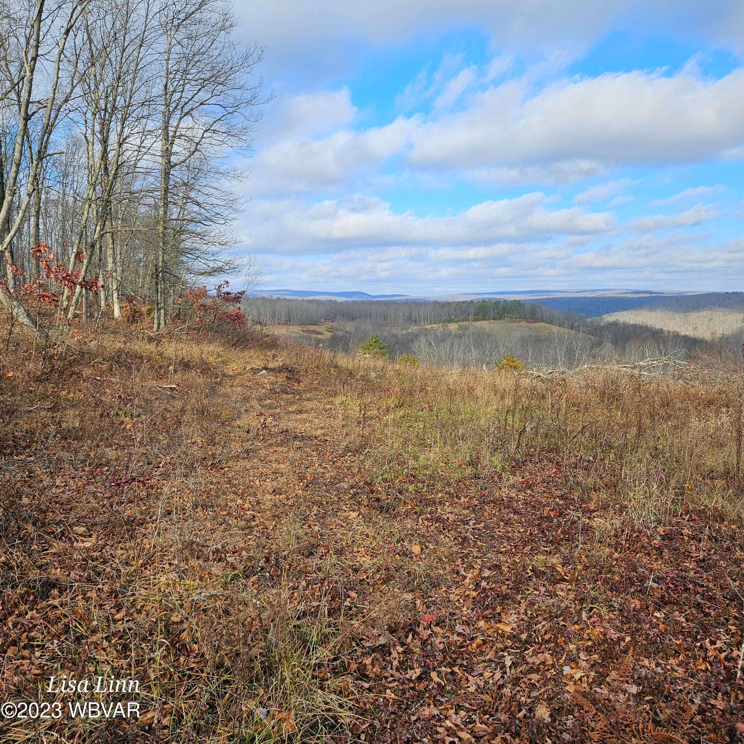 Shintown Road Renovo, PA 17764 - Photo 15 of 16 Gallery Image 15