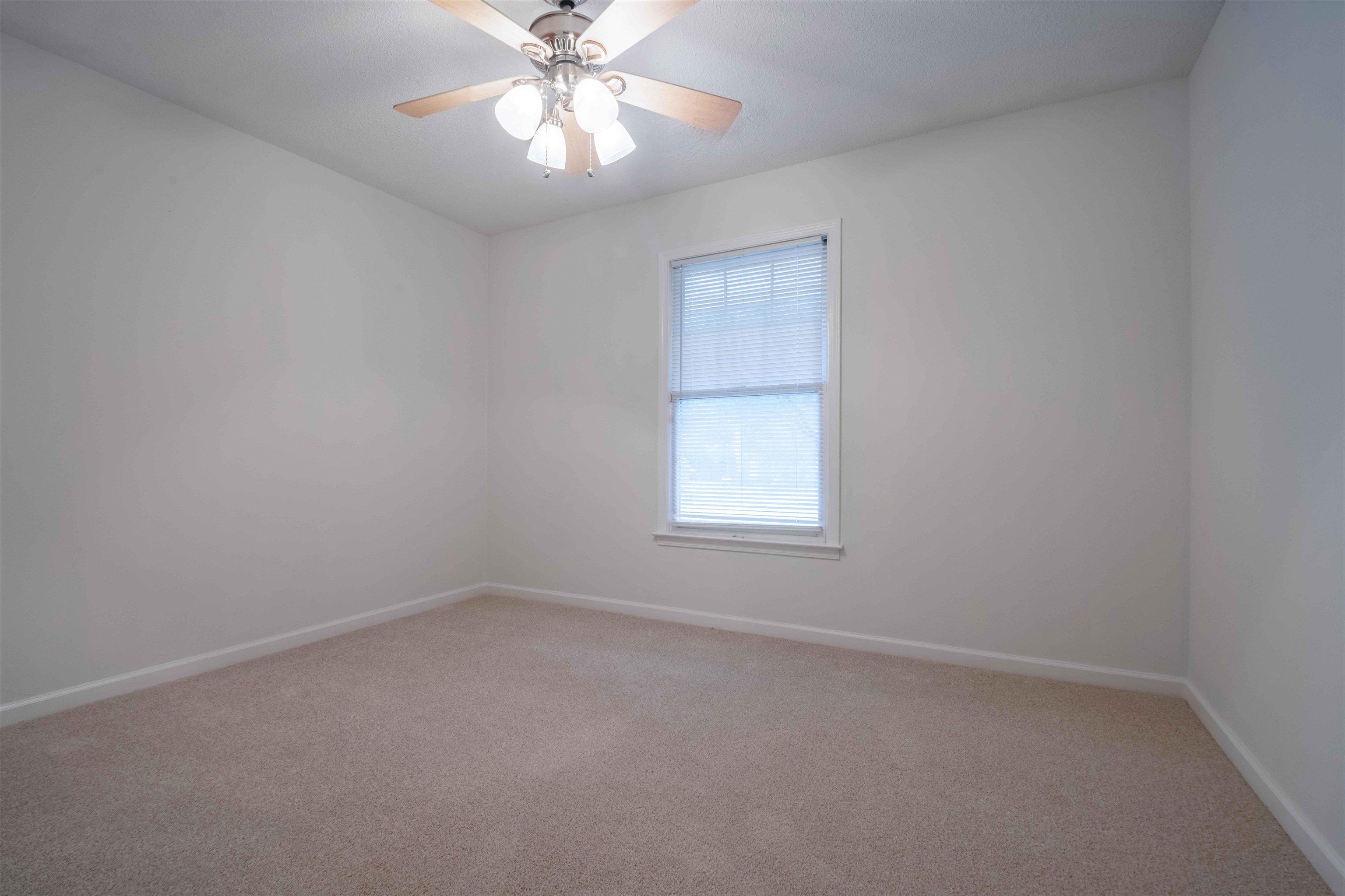 7800 Buck Ridge Cove Memphis, TN 38016 - Photo 25 of 36 Neutral-toned room with plush carpet flooring, a window with horizontal blinds, and a ceiling fan with light fixture