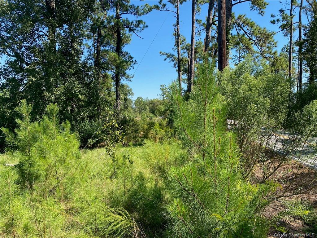 -tbd Bankens Road Sulphur, LA 70663 - Photo 4 of 6