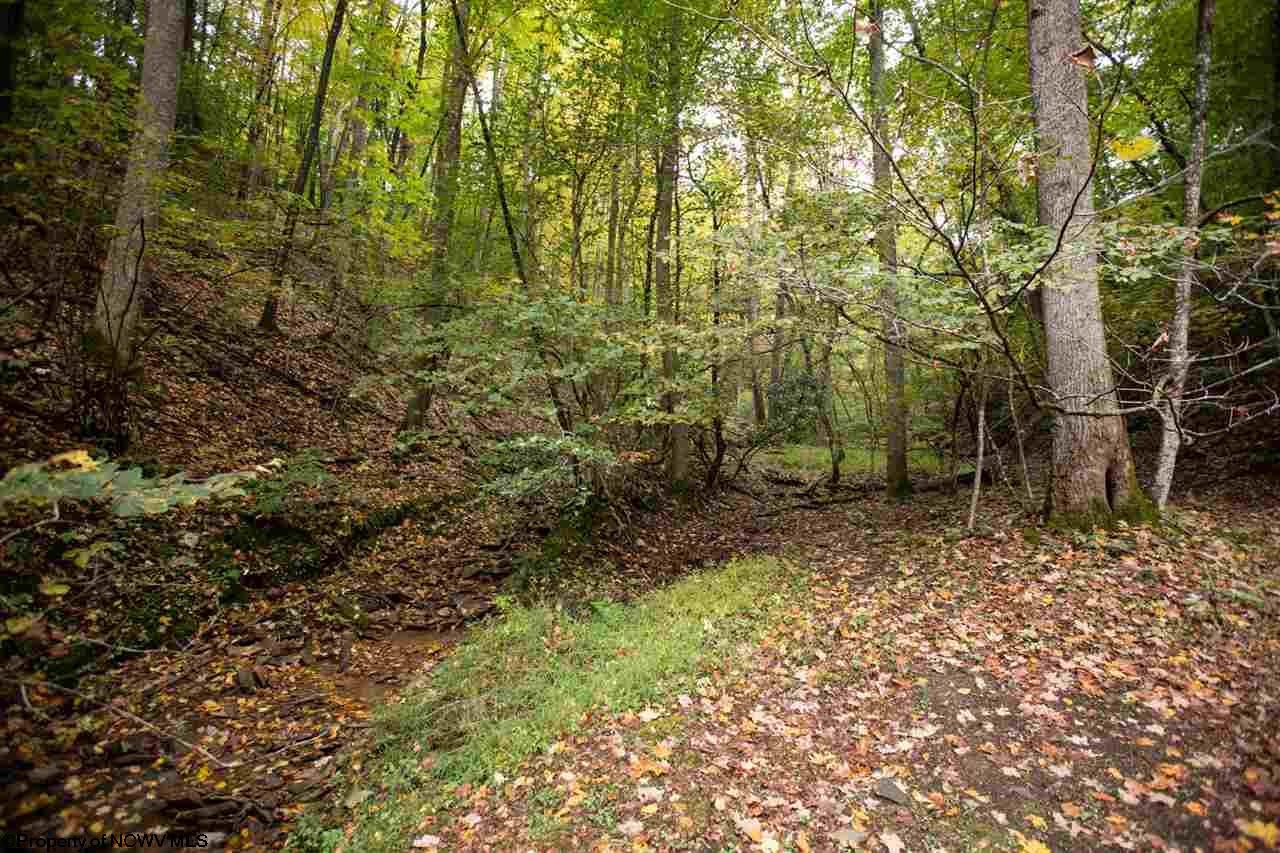 4271 Cravens Run Road Elkins, WV 26241 - Photo 5 of 29 Gallery Image 5