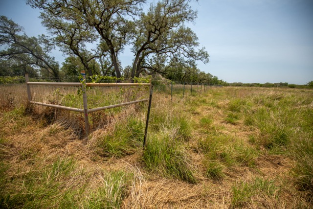 0 Green Dewitt Road Cuero, TX 77954 - Photo 13 of 40