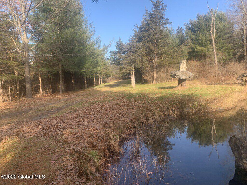 10 Taghkanic Ny 12504 Taghkanic, NY 12521 - Photo 11 of 48 Ciregna11