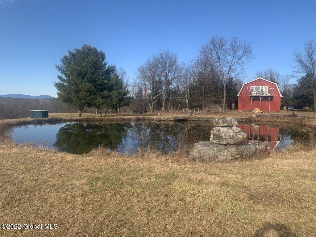 10 Taghkanic Ny 12504 Taghkanic, NY 12521 - Photo 12 of 48 Ciregna12