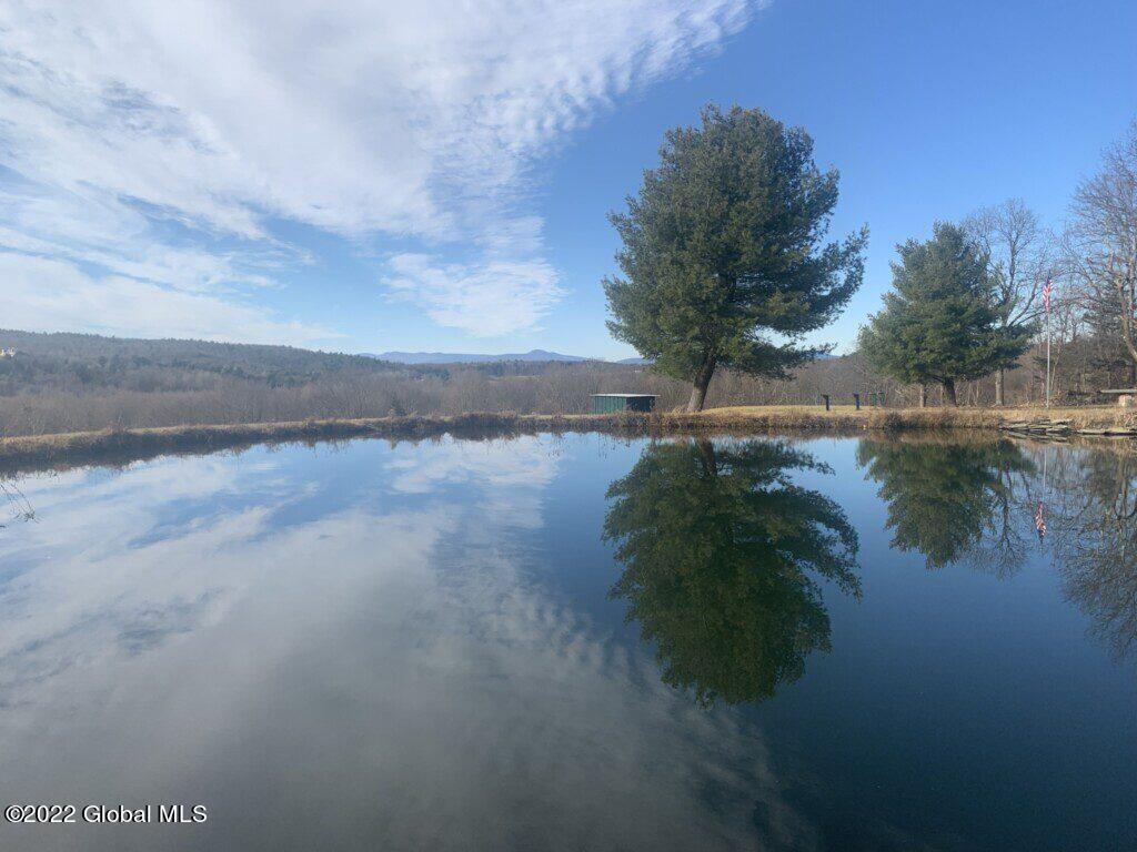 10 Taghkanic Ny 12504 Taghkanic, NY 12521 - Photo 14 of 48 Ciregna14