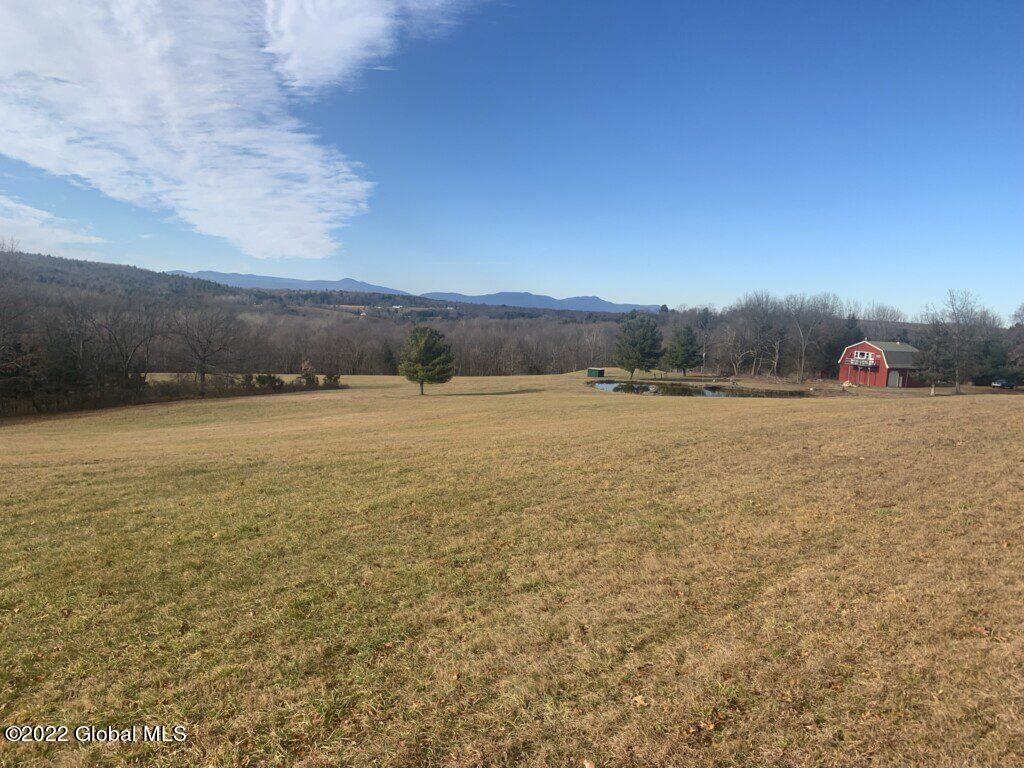 10 Taghkanic Ny 12504 Taghkanic, NY 12521 - Photo 22 of 48 Ciregna22