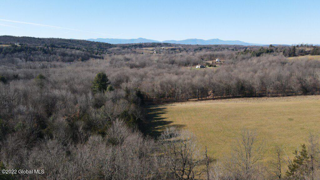 10 Taghkanic Ny 12504 Taghkanic, NY 12521 - Photo 24 of 48 Ciregna24