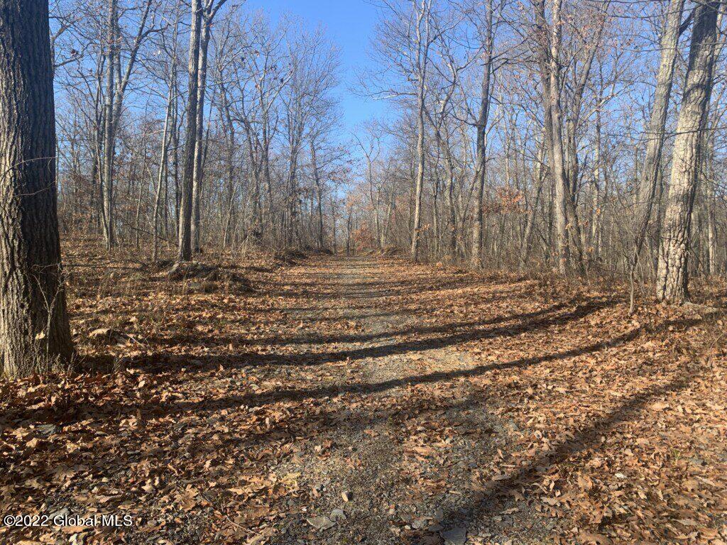 10 Taghkanic Ny 12504 Taghkanic, NY 12521 - Photo 25 of 48 Ciregna25