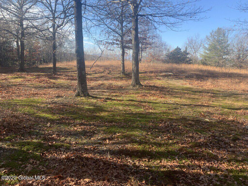 10 Taghkanic Ny 12504 Taghkanic, NY 12521 - Photo 26 of 48 Ciregna26