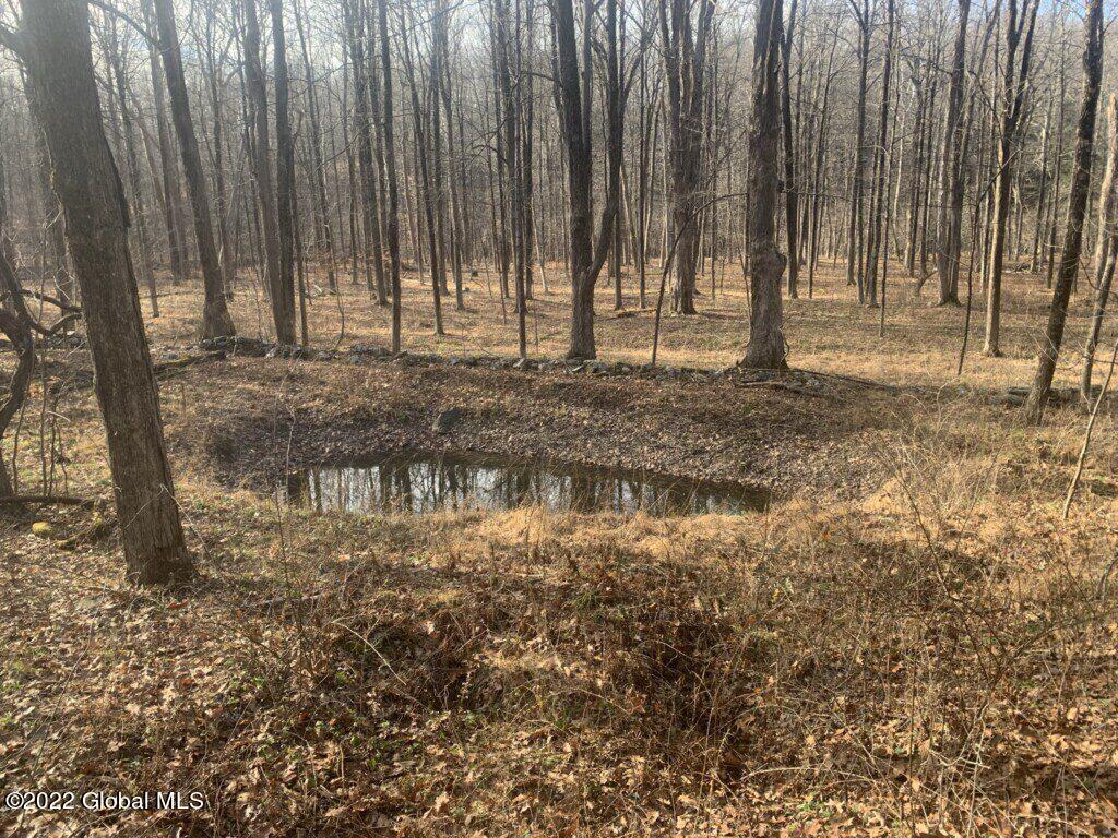 10 Taghkanic Ny 12504 Taghkanic, NY 12521 - Photo 28 of 48 Ciregna28