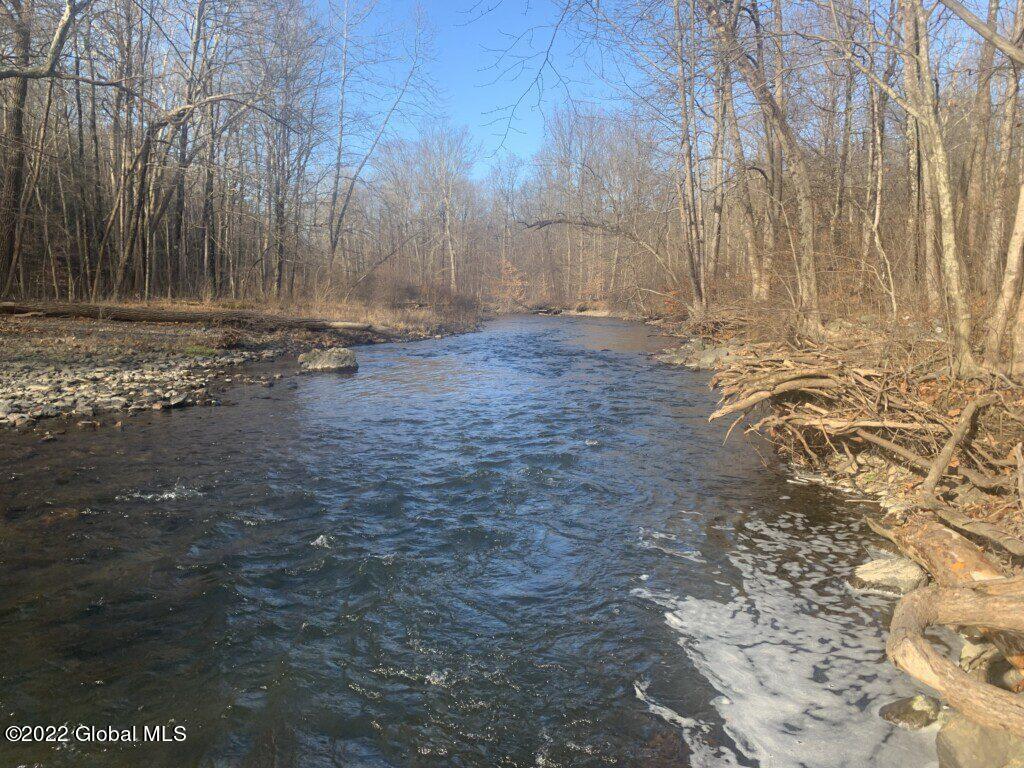 10 Taghkanic Ny 12504 Taghkanic, NY 12521 - Photo 29 of 48 Ciregna29