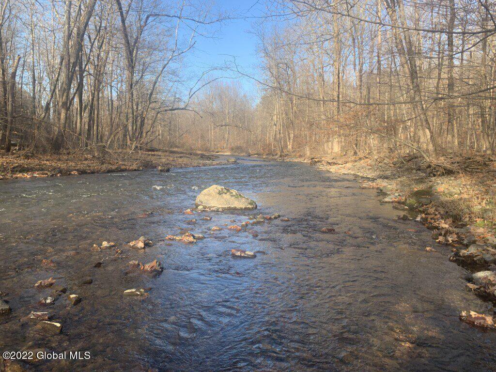 10 Taghkanic Ny 12504 Taghkanic, NY 12521 - Photo 30 of 48 Ciregna30