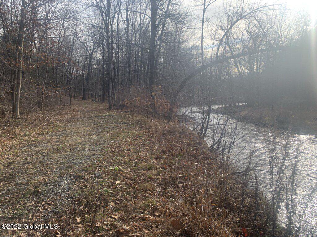 10 Taghkanic Ny 12504 Taghkanic, NY 12521 - Photo 31 of 48 Ciregna31