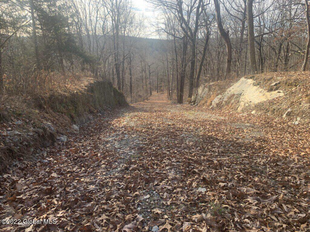 10 Taghkanic Ny 12504 Taghkanic, NY 12521 - Photo 32 of 48 Ciregna32