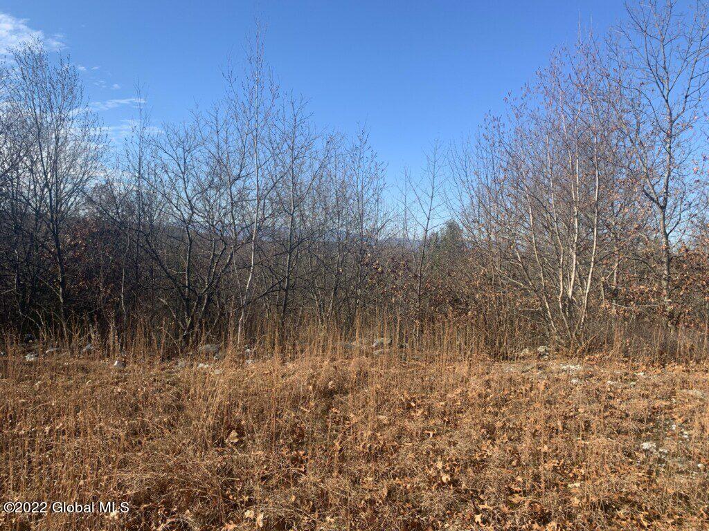 10 Taghkanic Ny 12504 Taghkanic, NY 12521 - Photo 33 of 48 Ciregna33