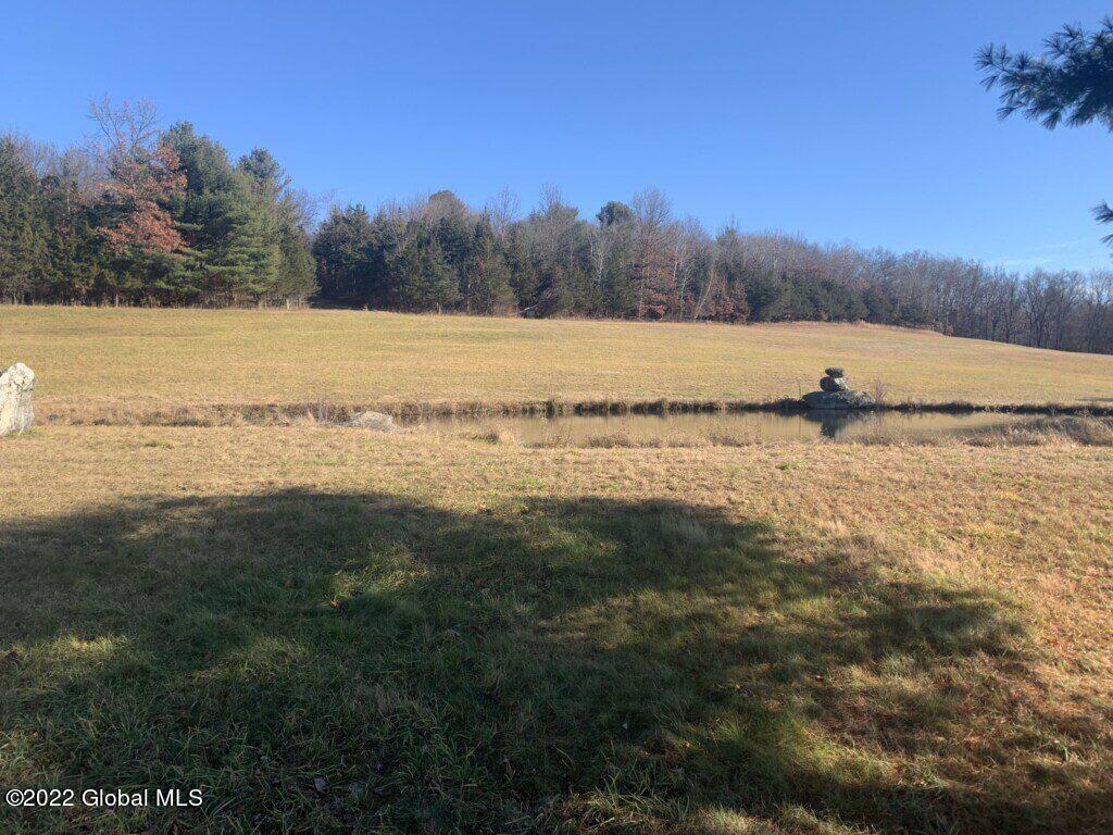 10 Taghkanic Ny 12504 Taghkanic, NY 12521 - Photo 35 of 48 Ciregna35