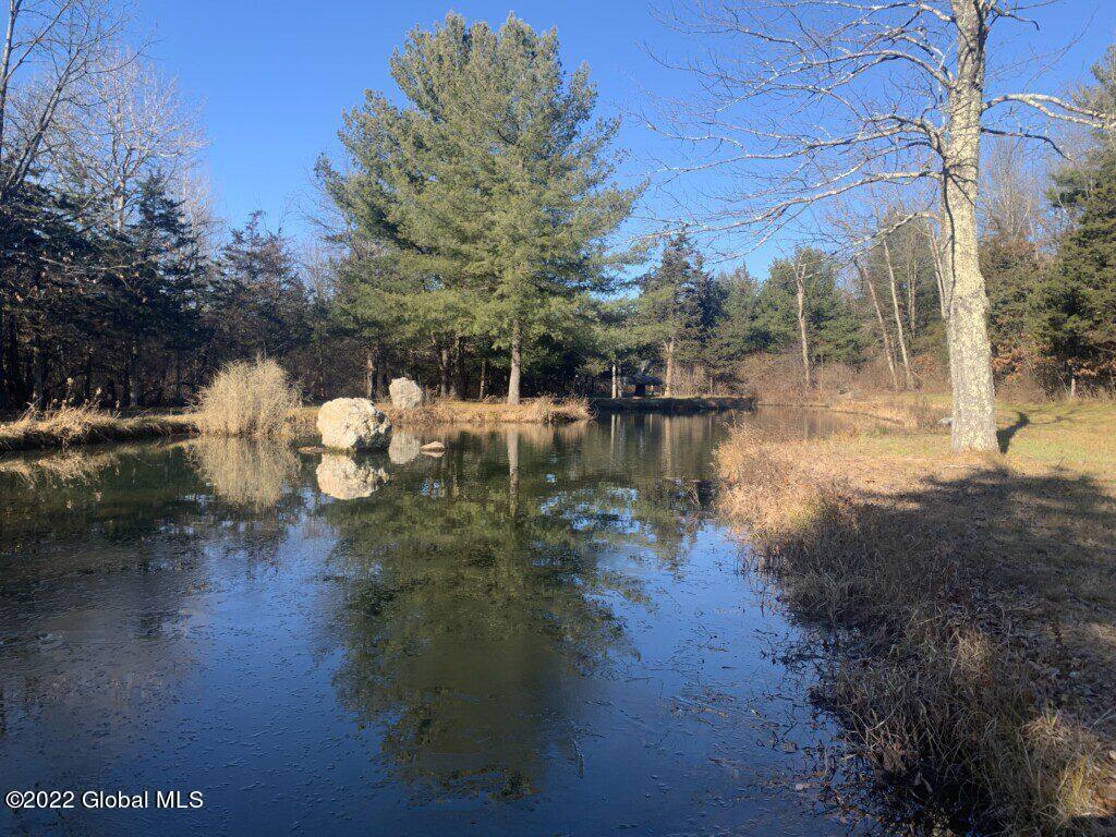 10 Taghkanic Ny 12504 Taghkanic, NY 12521 - Photo 38 of 48 Ciregna38