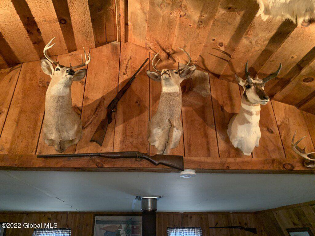 10 Taghkanic Ny 12504 Taghkanic, NY 12521 - Photo 40 of 48 Ciregna40