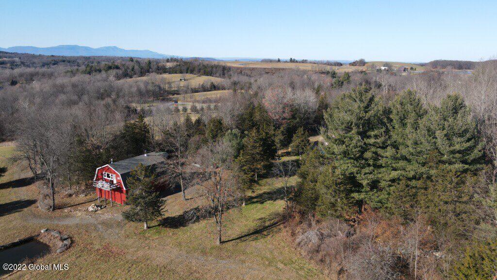 10 Taghkanic Ny 12504 Taghkanic, NY 12521 - Photo 6 of 48 Ciregna6