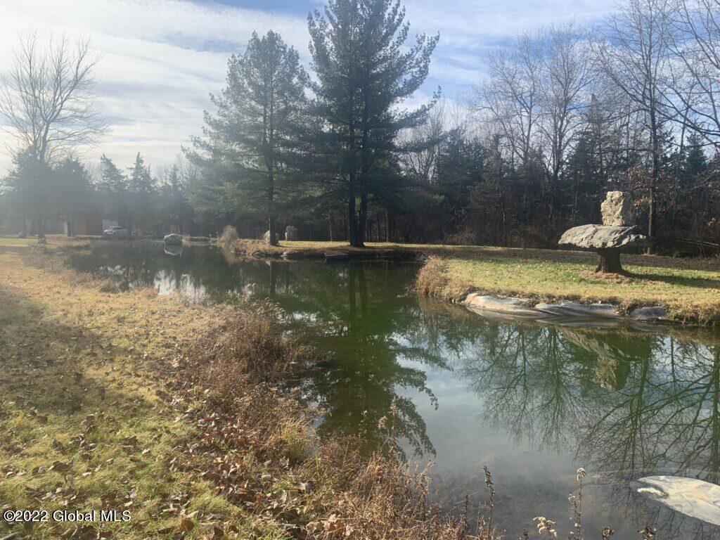 10 Taghkanic Ny 12504 Taghkanic, NY 12521 - Photo 8 of 48 Ciregna8