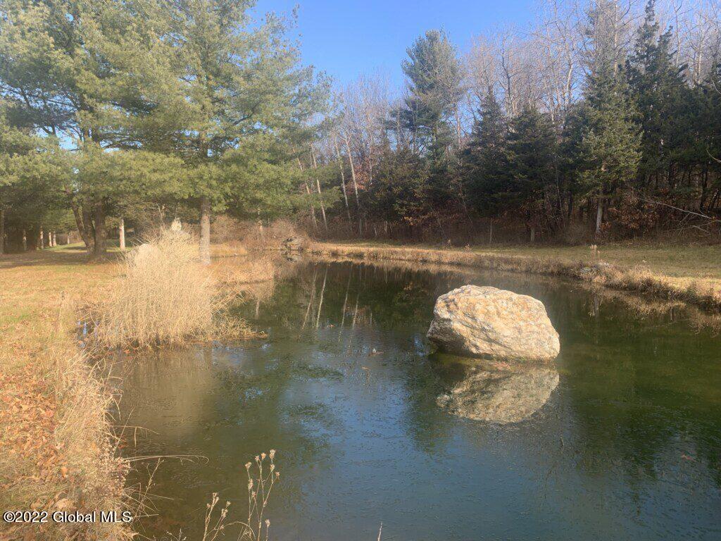 10 Taghkanic Ny 12504 Taghkanic, NY 12521 - Photo 9 of 48 Ciregna9