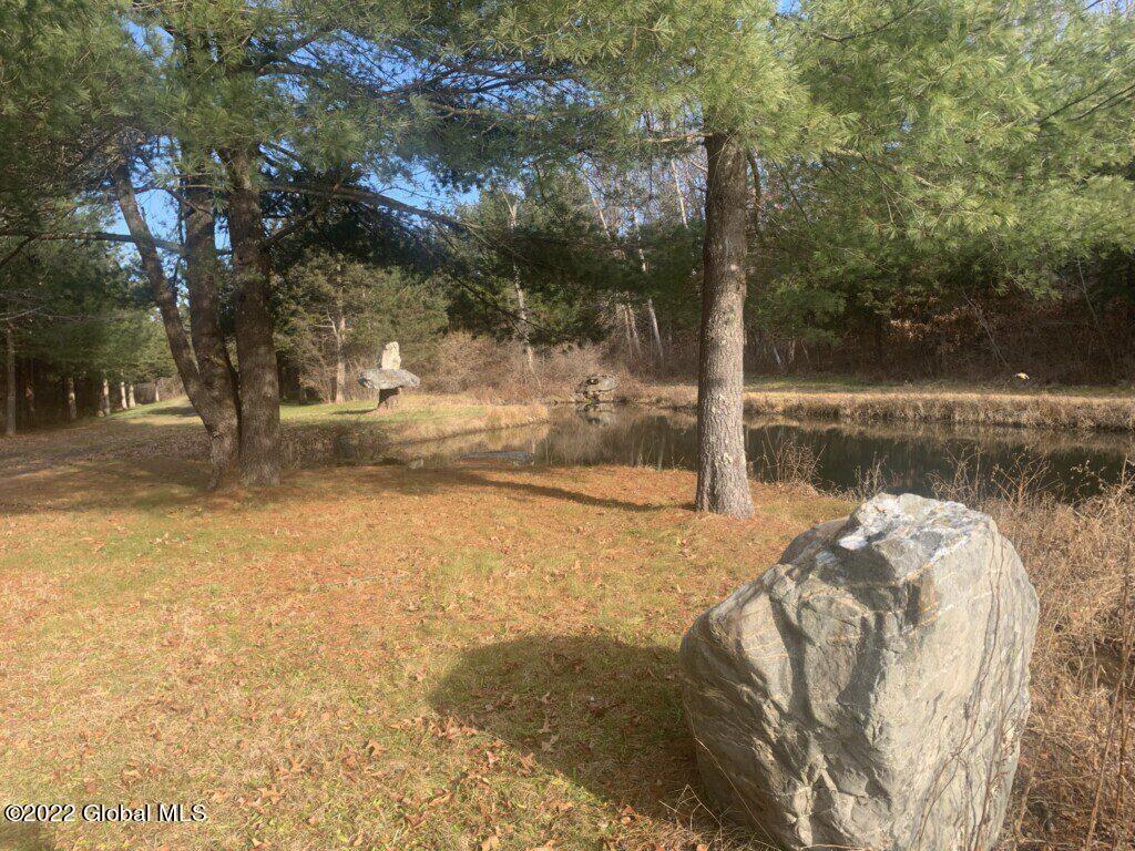 10 Taghkanic Ny 12504 Taghkanic, NY 12521 - Photo 10 of 48 Ciregna10