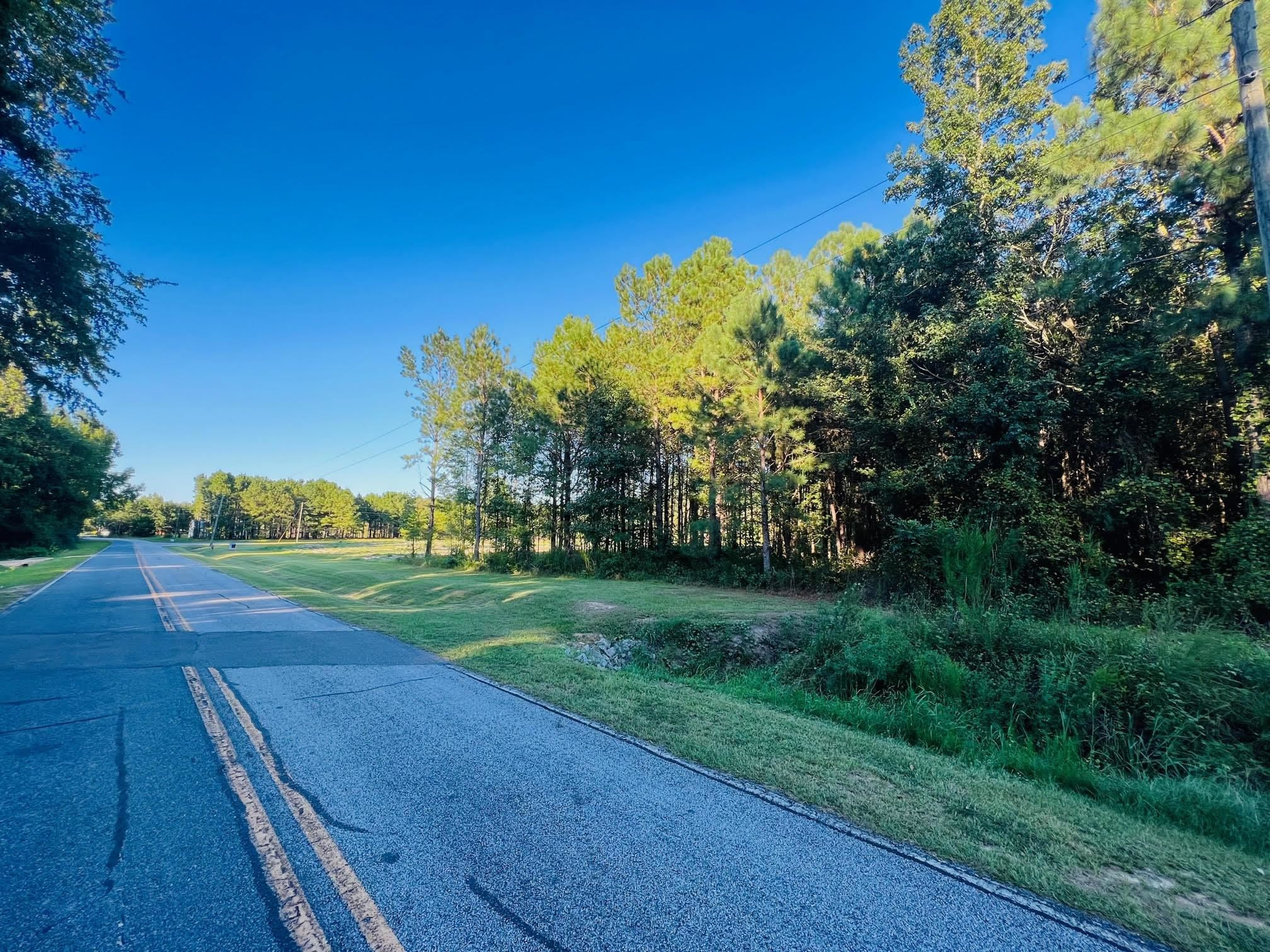 0 Reedy Prong Church Road Dunn, NC 28334 - Photo 2 of 7 2 driveway entrances