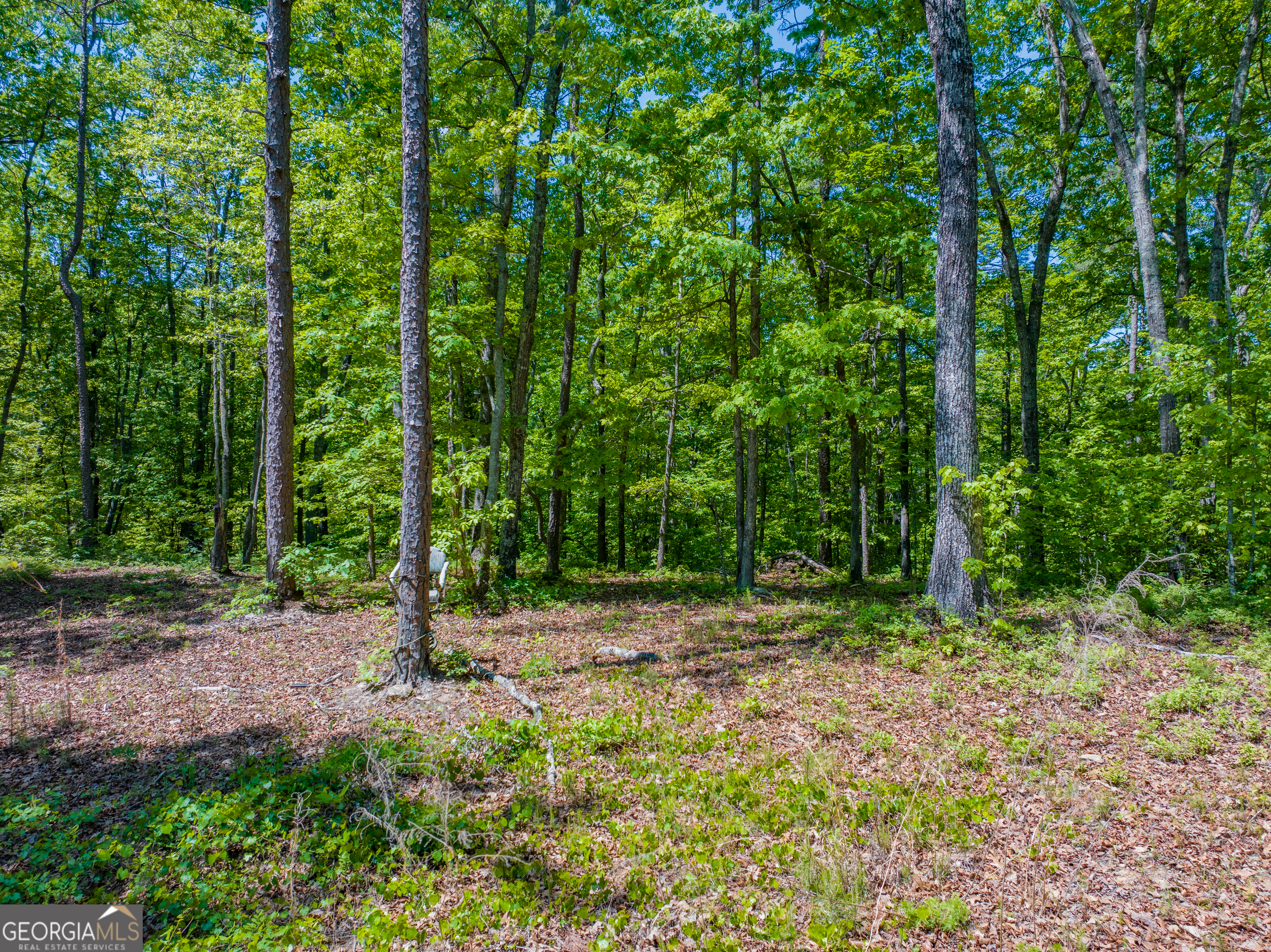 a view of outdoor space with trees