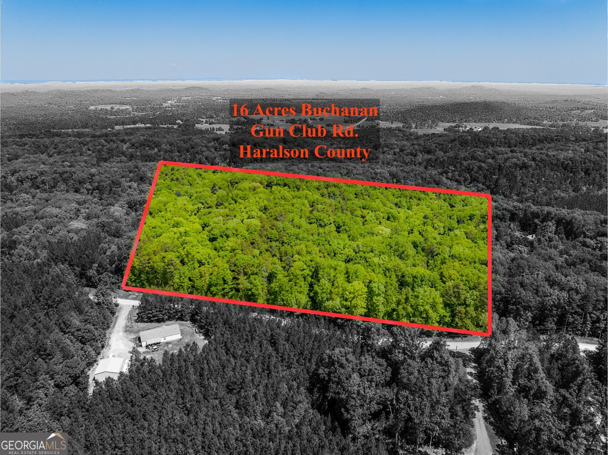 16-acres Gun Club Road Buchanan, GA 30113 - Photo 4 of 16 a view of a bunch of trees